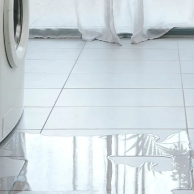 Appliance Leak Cleanup in Nelson County, VA