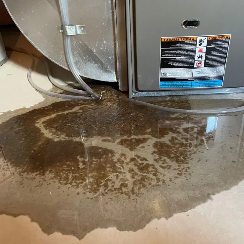 Pipe Burst and Leak Restoration in Nelson County, VA