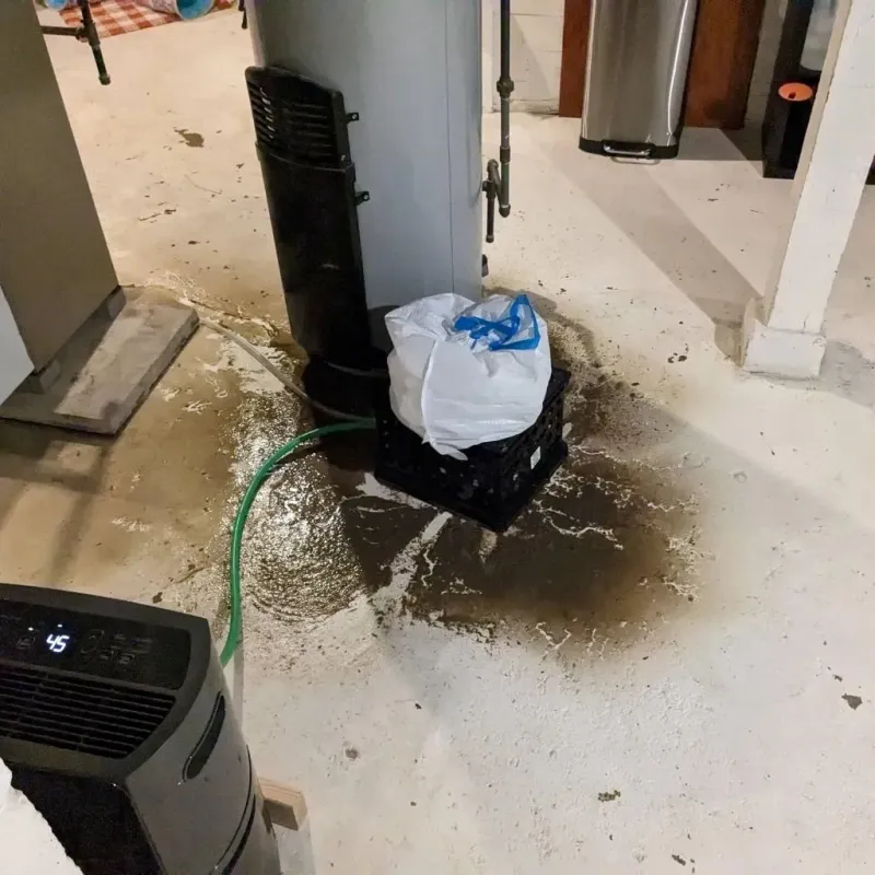 Sewage Backup Cleanup Service in Nelson County, VA